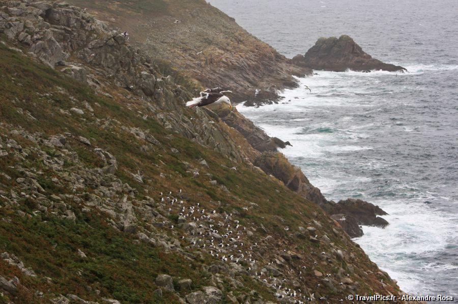 gal/Voyages/France/Pointe_du_Raz/Pointe_du_Raz_Bretagne076.jpg