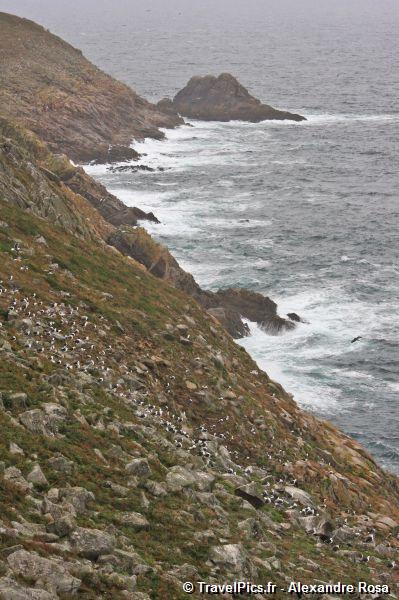 gal/Voyages/France/Pointe_du_Raz/Pointe_du_Raz_Bretagne077.jpg
