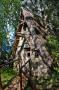 gal/Voyages/Germany/Munich/Bavaria_Film_Studios/Asterix_-_Village_and_Arena/_thb_Bavaria_Film_Studios_Asterix03.jpg