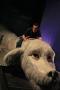gal/Voyages/Germany/Munich/Bavaria_Film_Studios/The_Neverending_Story/_thb_Bavaria_Studios_Neverending_Story12.jpg