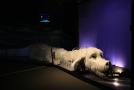 gal/Voyages/Germany/Munich/Bavaria_Film_Studios/The_Neverending_Story/_thb_Bavaria_Studios_Neverending_Story19.jpg