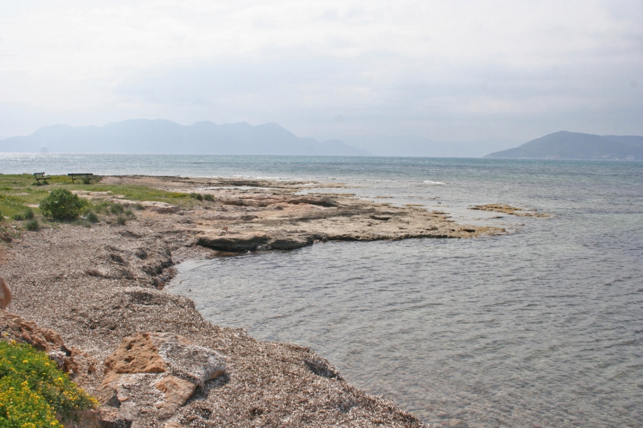 gal/Voyages/Greece/Egine/IMG_5789.JPG