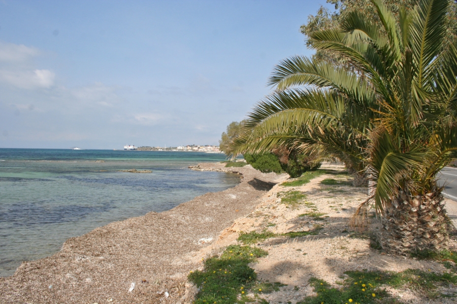 gal/Voyages/Greece/Egine/IMG_5790.JPG