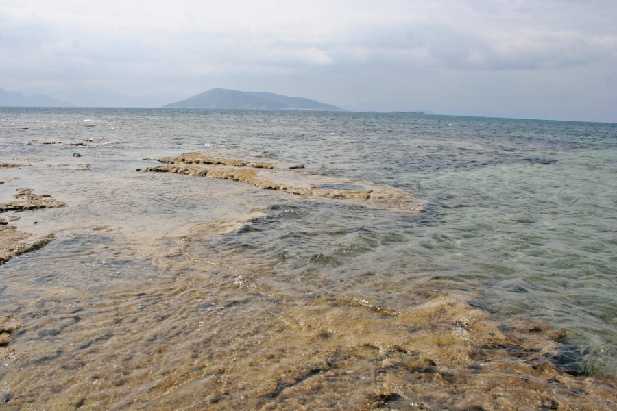 gal/Voyages/Greece/Egine/IMG_5794.JPG