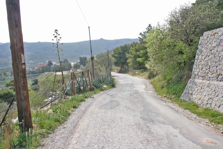 gal/Voyages/Greece/Egine/IMG_5802.JPG