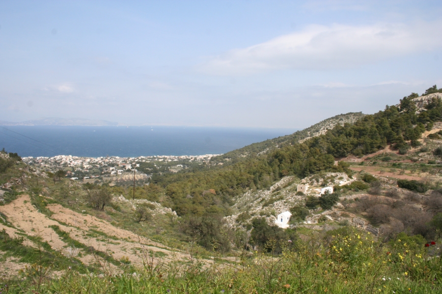 gal/Voyages/Greece/Egine/IMG_5805.JPG