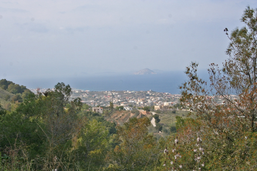 gal/Voyages/Greece/Egine/IMG_5809.JPG