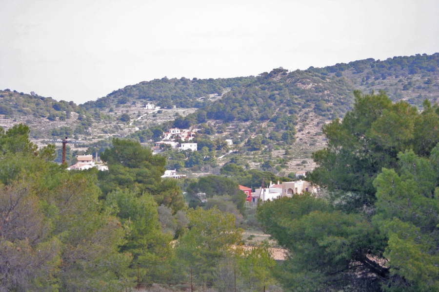 gal/Voyages/Greece/Egine/IMG_5817.JPG