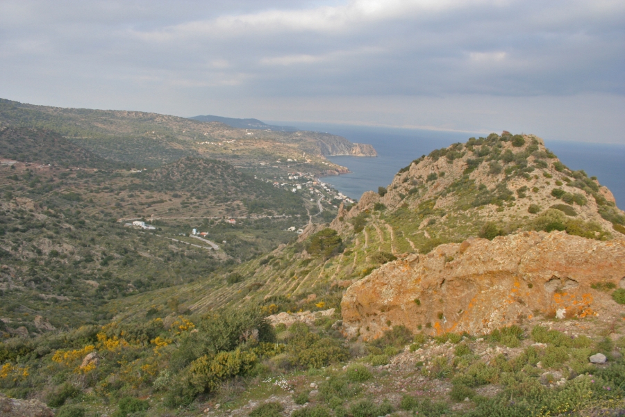 gal/Voyages/Greece/Egine/IMG_6003.JPG