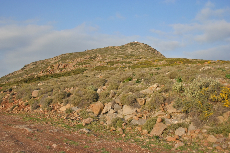 gal/Voyages/Greece/Egine/IMG_6013.JPG