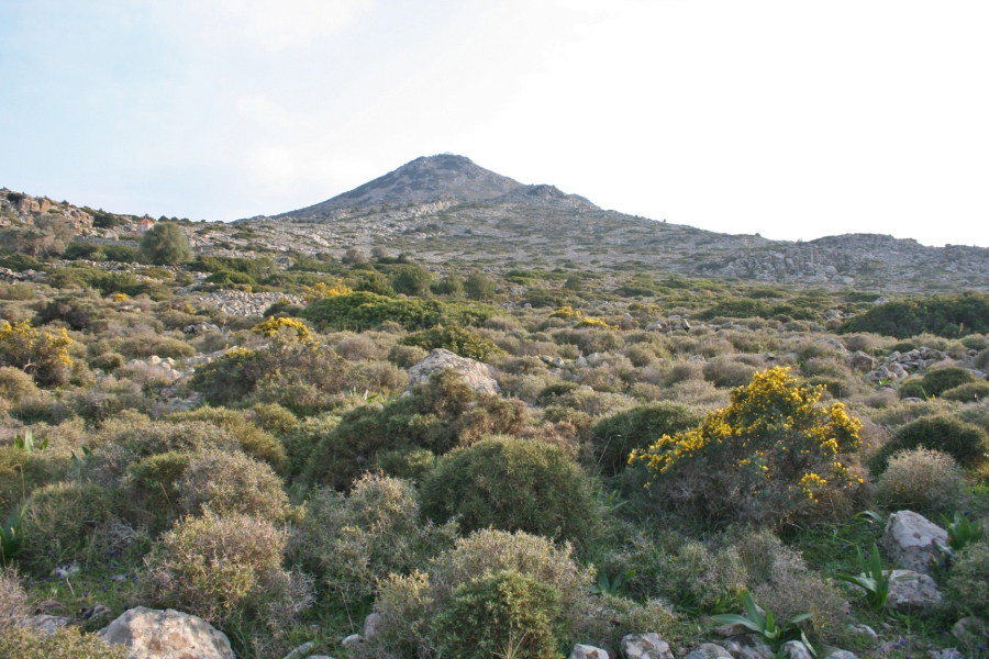 gal/Voyages/Greece/Egine/IMG_6016.JPG