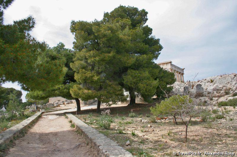 gal/Voyages/Greece/Egine/Temple_Aphaia/Egine_Temple_Afaia01.jpg