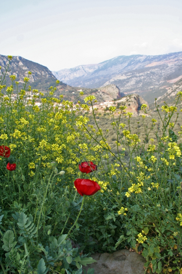 gal/Voyages/Greece/Patra/IMG_6256.JPG