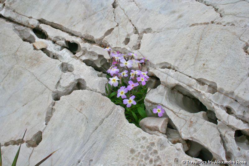 gal/Voyages/Greece/Sounion/Cap_Sounion_Temple_Poseidon_Greece017.jpg
