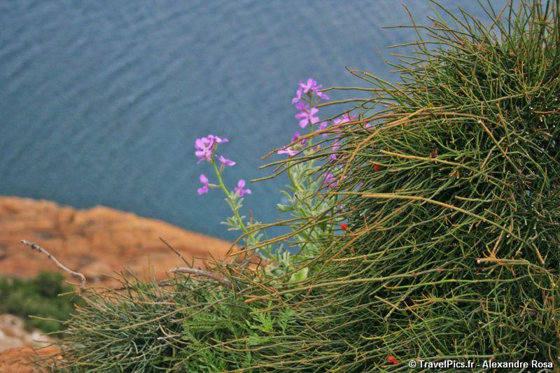 gal/Voyages/Greece/Sounion/Cap_Sounion_Temple_Poseidon_Greece080.jpg