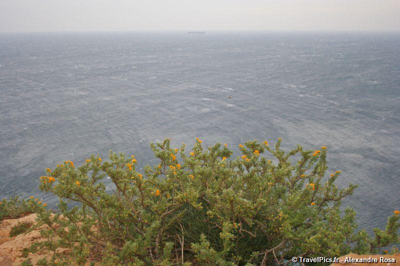 gal/Voyages/Greece/Sounion/Cap_Sounion_Temple_Poseidon_Greece113.jpg