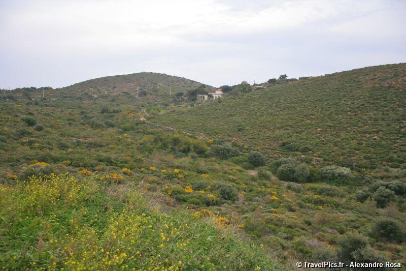 gal/Voyages/Greece/Sounion/Cap_Sounion_Temple_Poseidon_Greece126.jpg