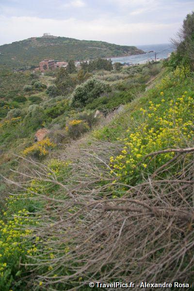 gal/Voyages/Greece/Sounion/Cap_Sounion_Temple_Poseidon_Greece127.jpg