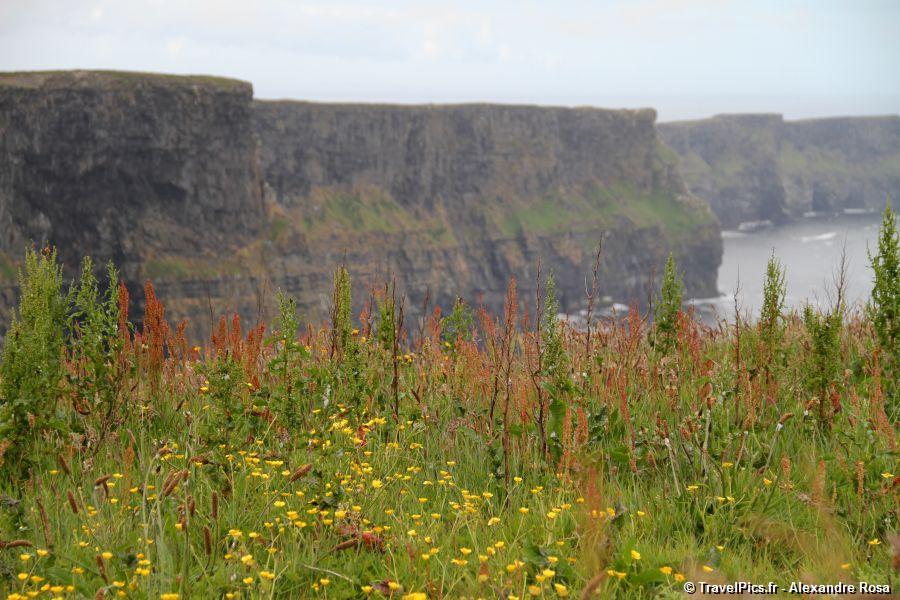 gal/Voyages/Ireland/Cliffs_of_Moher/Falaises_de_Moher_Irlande43.jpg