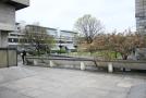 gal/Voyages/Ireland/Dublin/Trinity_College/_thb_IMG_4491.JPG
