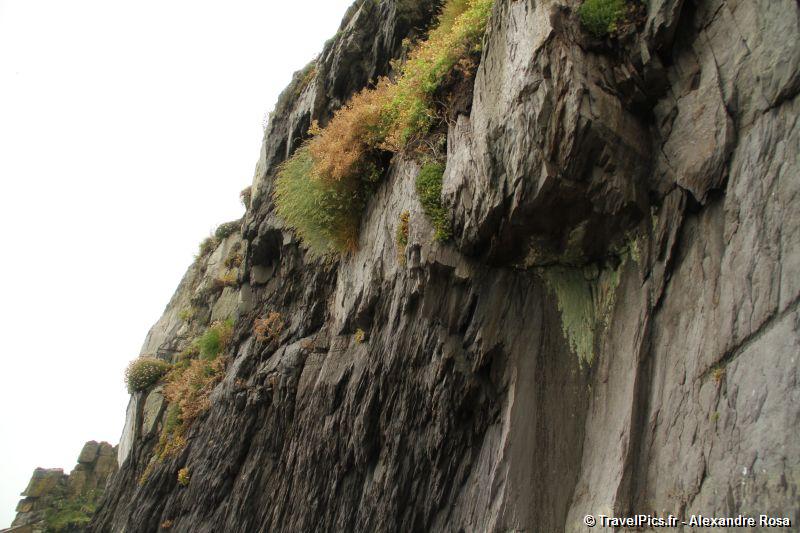 gal/Voyages/Ireland/Skellig_Islands/Skellig_Michael_Islands_monastery_Ireland084.jpg