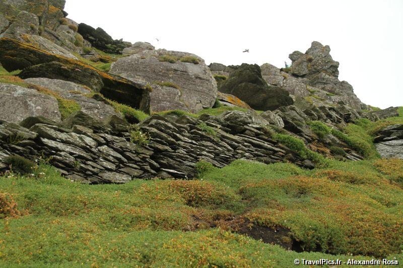 gal/Voyages/Ireland/Skellig_Islands/Skellig_Michael_Islands_monastery_Ireland165.jpg