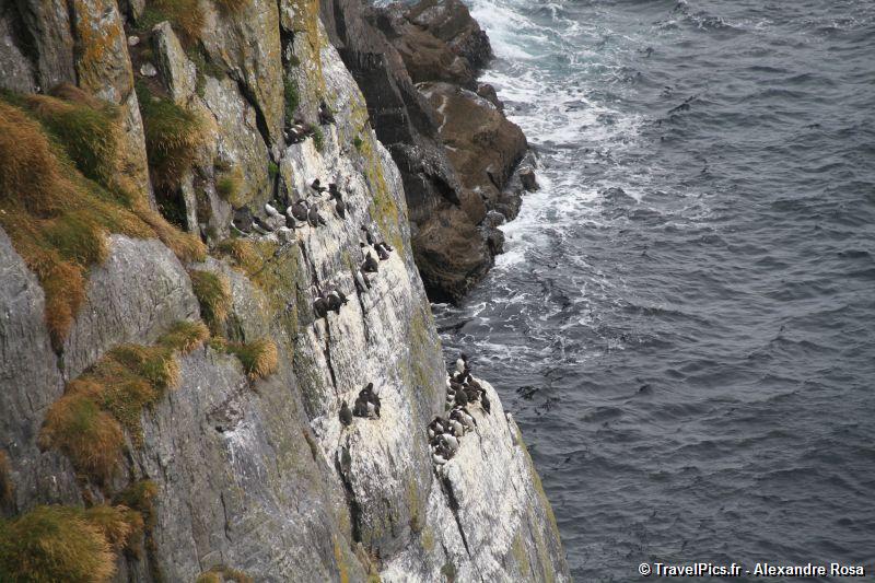 gal/Voyages/Ireland/Skellig_Islands/Skellig_Michael_Islands_monastery_Ireland323.jpg