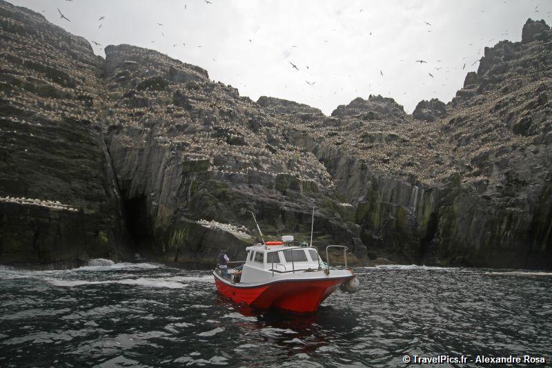 gal/Voyages/Ireland/Skellig_Islands/Skellig_Michael_Islands_monastery_Ireland353.JPG