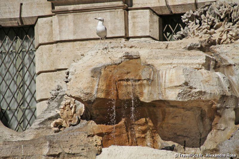 gal/Voyages/Italy/Rome/Fontaine_de_Trevi/Fontaine_de_Trevi_Rome84.jpg
