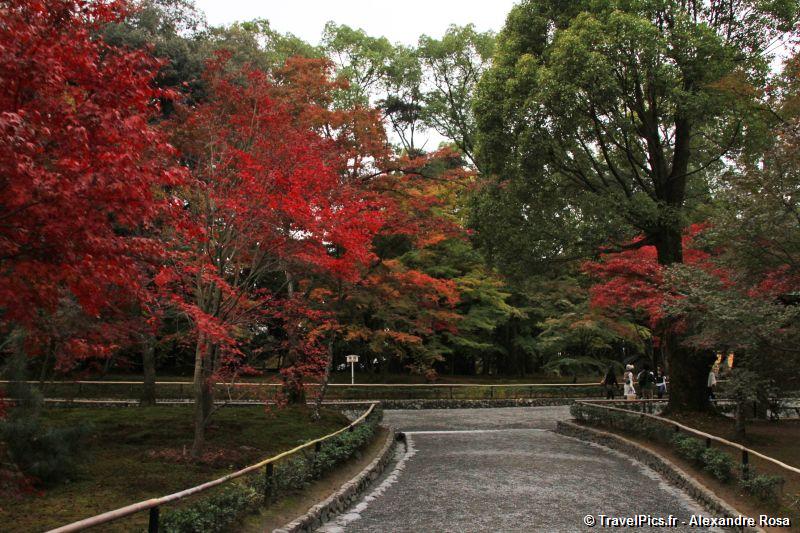 gal/Voyages/Japan/Kyoto_-_Pavillon_Dore/Kyoto_Golden_Pavilion_Temple01.jpg