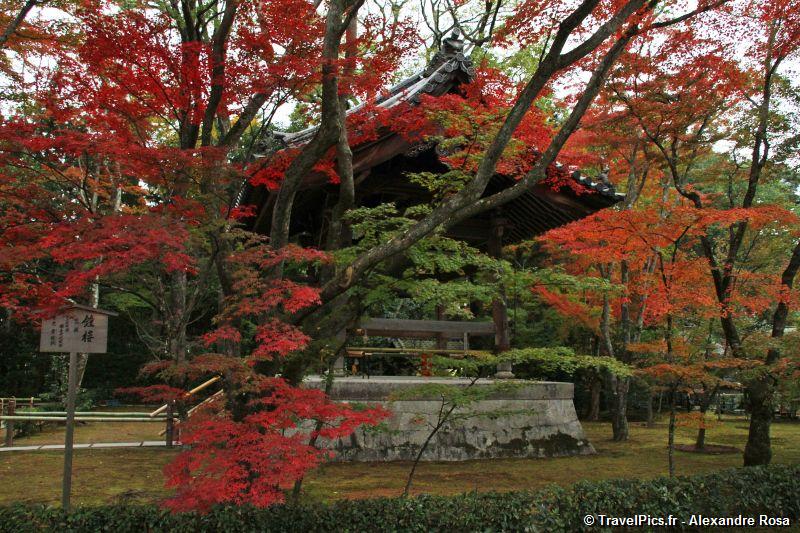 gal/Voyages/Japan/Kyoto_-_Pavillon_Dore/Kyoto_Golden_Pavilion_Temple05.jpg