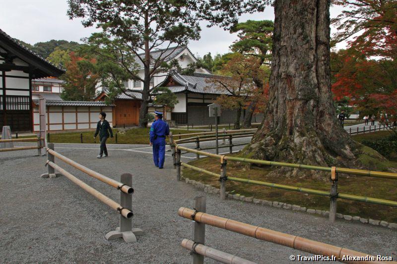 gal/Voyages/Japan/Kyoto_-_Pavillon_Dore/Kyoto_Golden_Pavilion_Temple09.jpg