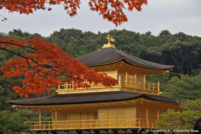 gal/Voyages/Japan/Kyoto_-_Pavillon_Dore/Kyoto_Golden_Pavilion_Temple16.jpg