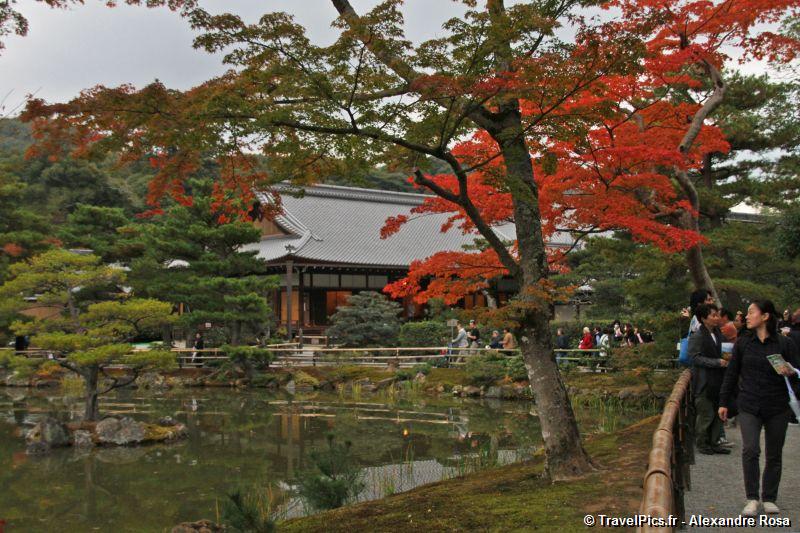 gal/Voyages/Japan/Kyoto_-_Pavillon_Dore/Kyoto_Golden_Pavilion_Temple18.jpg