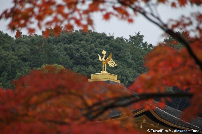 gal/Voyages/Japan/Kyoto_-_Pavillon_Dore/Kyoto_Golden_Pavilion_Temple32.jpg