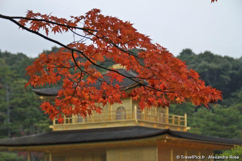 gal/Voyages/Japan/Kyoto_-_Pavillon_Dore/Kyoto_Golden_Pavilion_Temple35.jpg