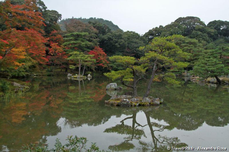 gal/Voyages/Japan/Kyoto_-_Pavillon_Dore/Kyoto_Golden_Pavilion_Temple37.jpg