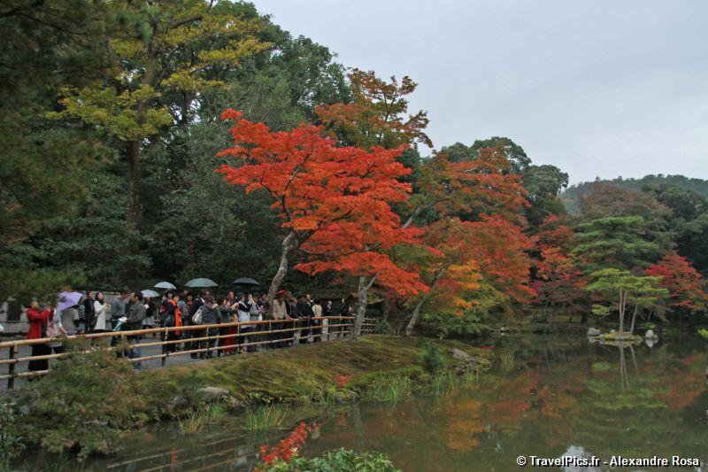 gal/Voyages/Japan/Kyoto_-_Pavillon_Dore/Kyoto_Golden_Pavilion_Temple38.jpg
