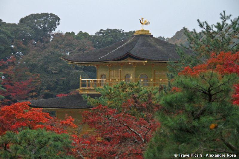 gal/Voyages/Japan/Kyoto_-_Pavillon_Dore/Kyoto_Golden_Pavilion_Temple71.jpg