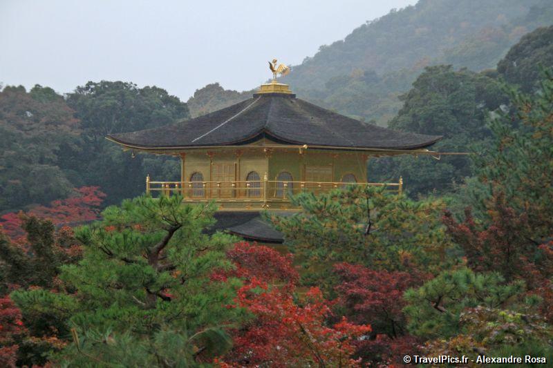 gal/Voyages/Japan/Kyoto_-_Pavillon_Dore/Kyoto_Golden_Pavilion_Temple74.jpg
