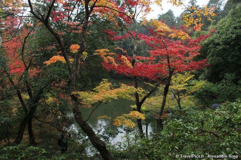 gal/Voyages/Japan/Kyoto_-_Pavillon_Dore/Kyoto_Golden_Pavilion_Temple81.jpg