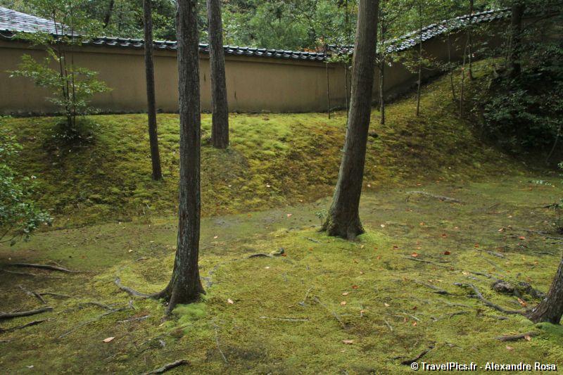 gal/Voyages/Japan/Kyoto_-_Pavillon_Dore/Kyoto_Golden_Pavilion_Temple83.jpg