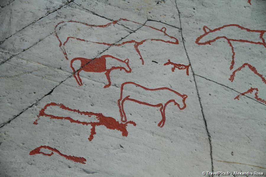 gal/Voyages/Norway/Alta_Rock_Carvings/gravures-rupestres-alta048.jpg
