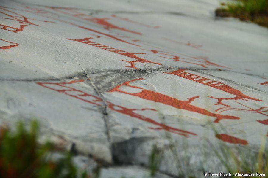 gal/Voyages/Norway/Alta_Rock_Carvings/gravures-rupestres-alta063.jpg