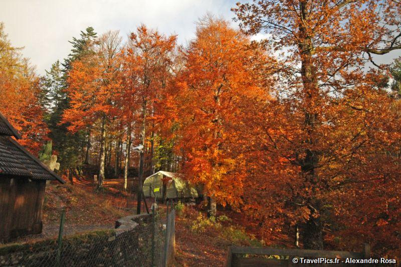 gal/Voyages/Norway/Fantoft_Stavkirke/Fantoft_Stavkirke_Norvege45.jpg
