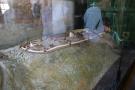 gal/Voyages/Prague_-_Czech_Republic/Chateau_de_Prague/_thb_IMG_4368.JPG