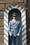 gal/Voyages/Prague_-_Czech_Republic/Chateau_de_Prague/_thb_IMG_4437.JPG