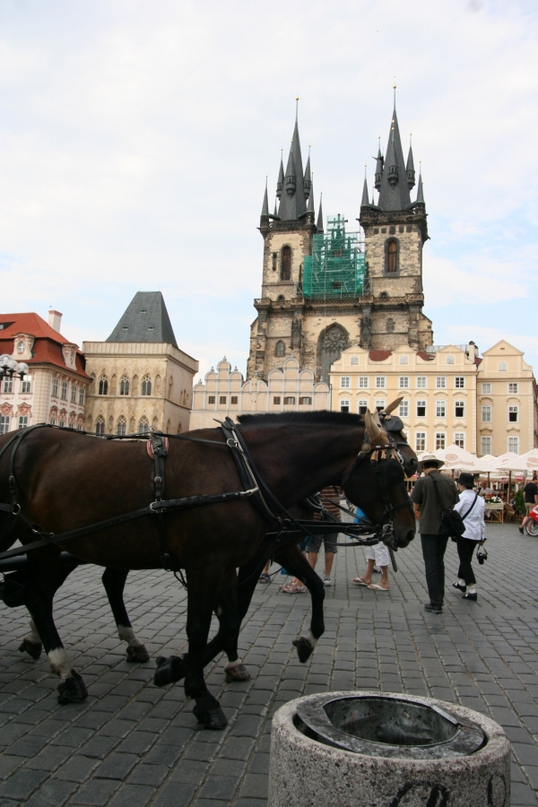 gal/Voyages/Prague_-_Czech_Republic/Place_de_la_Vieille_Ville/IMG_4041.JPG