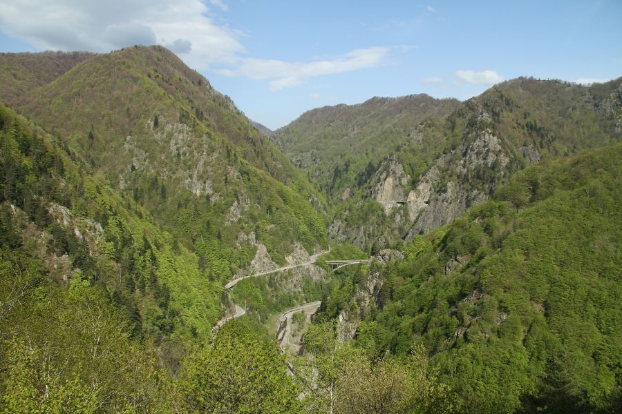 gal/Voyages/Romania/Poenari_Castle/Poenari-Castle-Dracula-Romania077.jpg