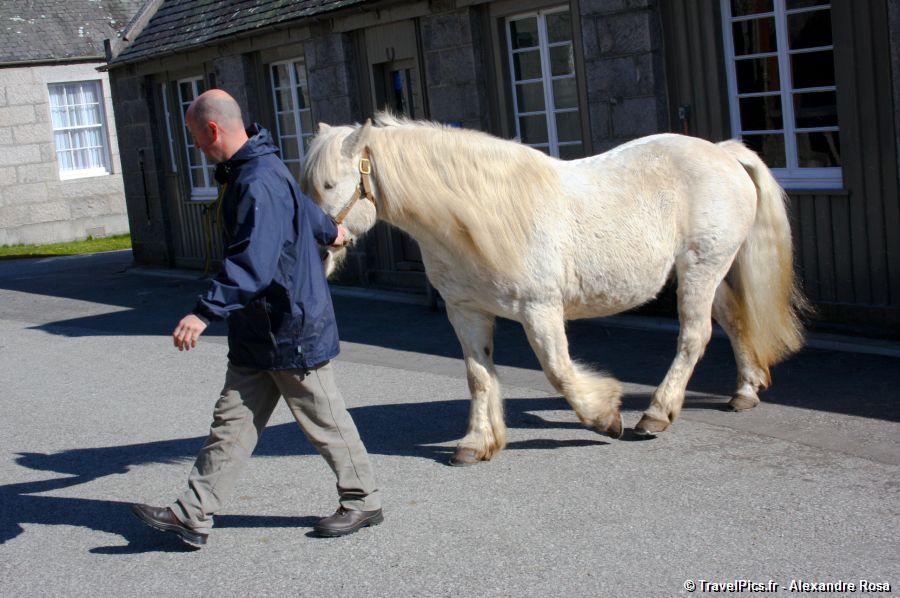 gal/Voyages/Scotland/Balmoral_Castle/Chateau_de_Balmoral_Ecosse33.jpg